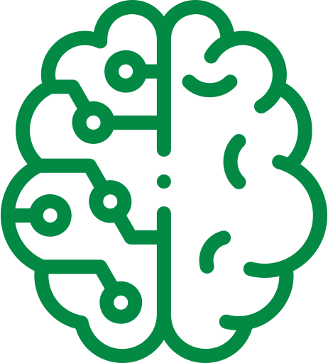 brain icon
